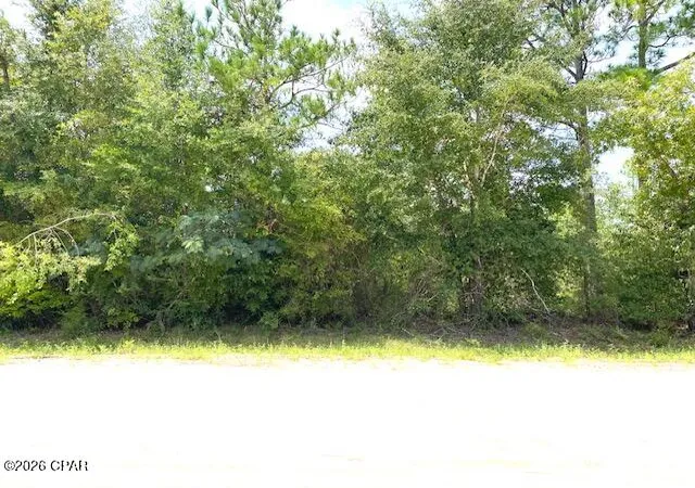 Photo 2 of Land for sale at 0 Edison Ave, Alford, FL 32420 | MLS# 795082 | Listing updated on 2026-10-01