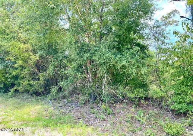 Photo 3 of Land for sale at 0 Edison Ave, Alford, FL 32420 | MLS# 795082 | Listing updated on 2026-10-01