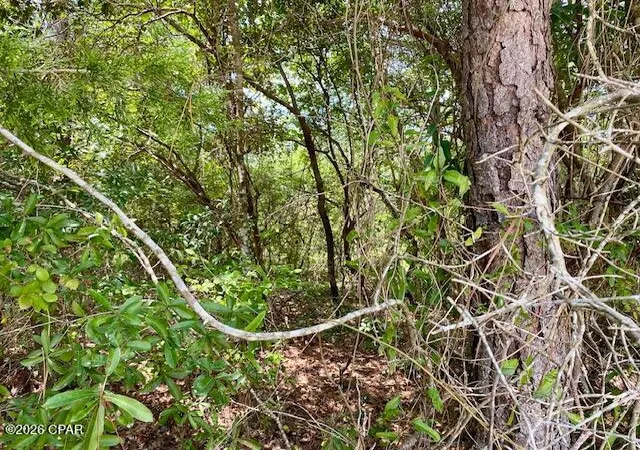 Photo 3 of Land for sale at 0 Edison Ave, Alford, FL 32420 | MLS# 795082 | Listing updated on 2026-10-01
