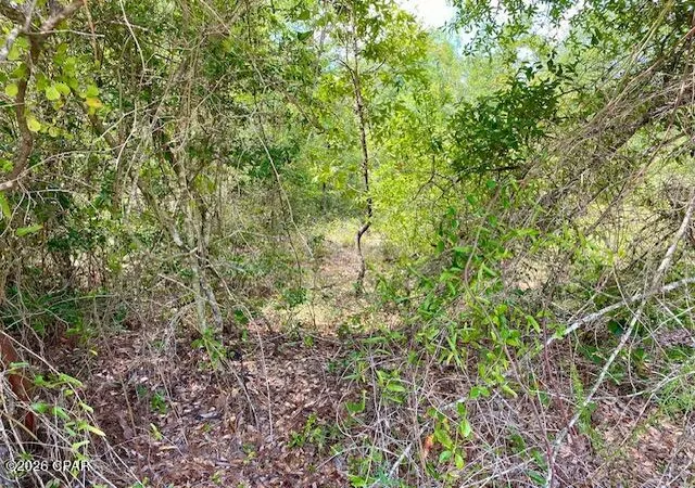 Photo 4 of Land for sale at 0 Edison Ave, Alford, FL 32420 | MLS# 795082 | Listing updated on 2026-10-01