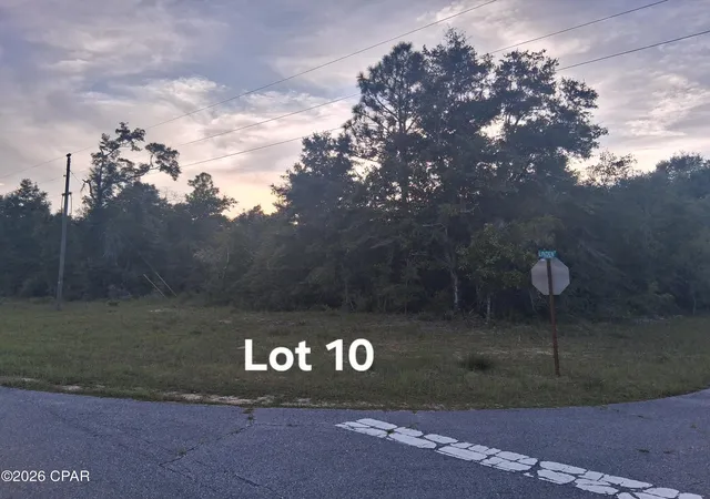 Photo 2 of Land for sale at Lot 10 Washington Blvd, Chipley, FL 32428 | MLS# 795125 | Listing updated on 2026-09-08