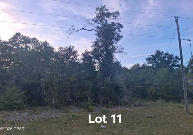 Photo 2 of Land for sale at Lot 11 Washington Blvd, Chipley, FL 32428 | MLS# 795126 | Listing updated on 2026-09-08