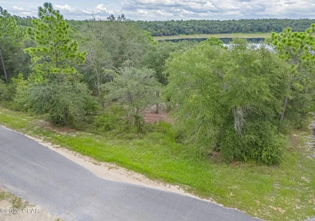 Photo 3 of Land for sale at 000 Quail Ridge Dr #lot B-251, Chipley, FL 32428 | MLS# 795143 | Listing updated on 2026-09-09