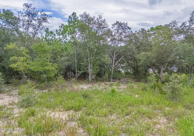Photo 3 of Land for sale at 000 Quail Ridge Dr #lot B-251, Chipley, FL 32428 | MLS# 795143 | Listing updated on 2026-09-09