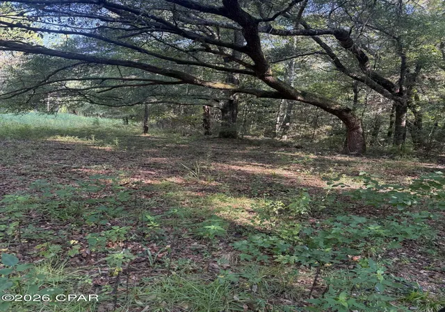 Land for sale at 0 Jacob Rd, Cottondale, FL 32431 | MLS# 795151