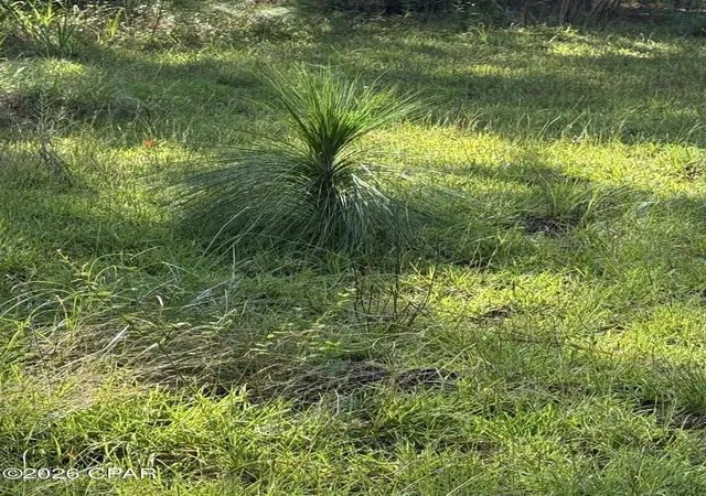 Photo 4 of Land for sale at 0 Jacob Rd, Cottondale, FL 32431 | MLS# 795151 | Listing updated on 2026-09-08