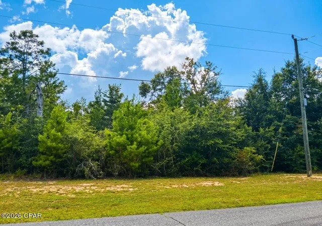 Photo 2 of Land for sale at Lot 52 Shenandoah Blvd, Chipley, FL 32428 | MLS# 795153 | Listing updated on 2026-09-08