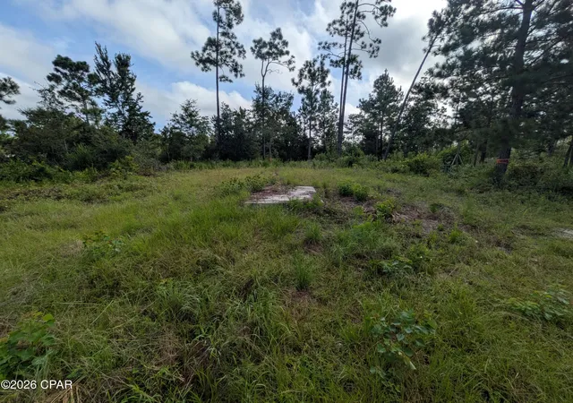 Photo 4 of Land for sale at 17728 Foster Rd, Fountain, FL 32438 | MLS# 795154 | Listing updated on 2026-09-08