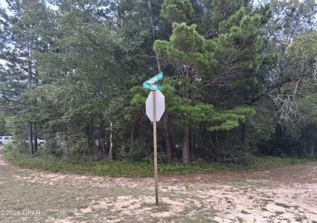 Photo 3 of Land for sale at Lot 10 Baldwin St, Chipley, FL 32428 | MLS# 795155 | Listing updated on 2026-09-08