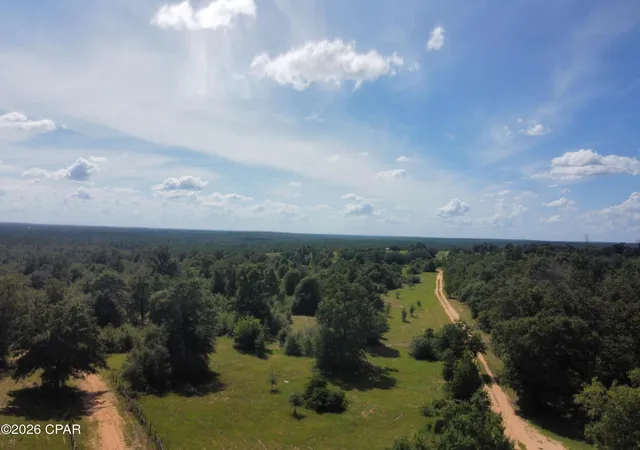 Land for sale at 0000 NW La Follette Ln, Altha, FL 32421 | MLS# 795164