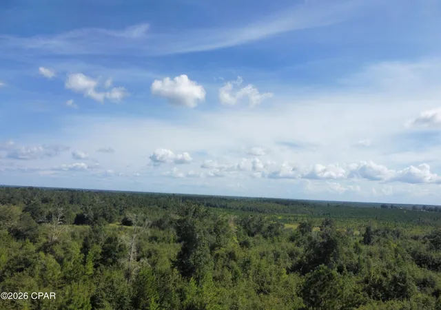 Photo 3 of Land for sale at 0000 Nw La Follette Ln, Altha, FL 32421 | MLS# 795164 | Listing updated on 2026-09-08