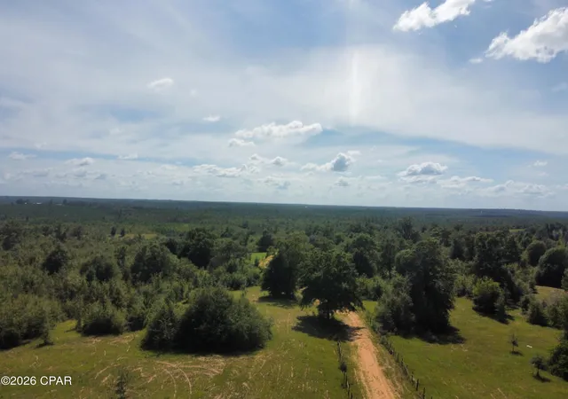 Photo 3 of Land for sale at 0000 NW La Follette Ln, Altha, FL 32421 | MLS# 795164 | Listing updated on 2026-09-08