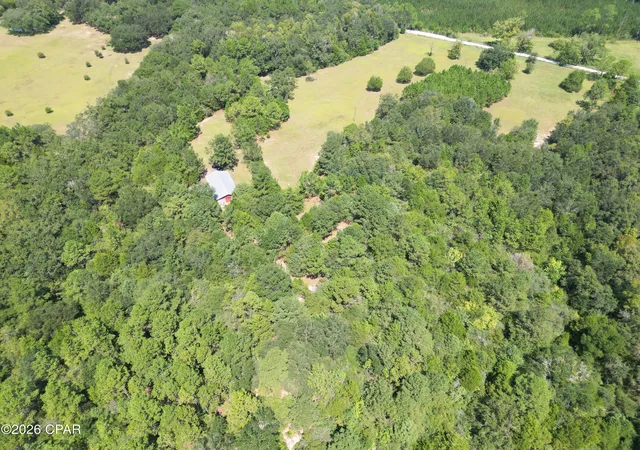 Photo 3 of Land for sale at 3813 Sandpath Rd, Bonifay, FL 32425 | MLS# 795165 | Listing updated on 2026-09-08