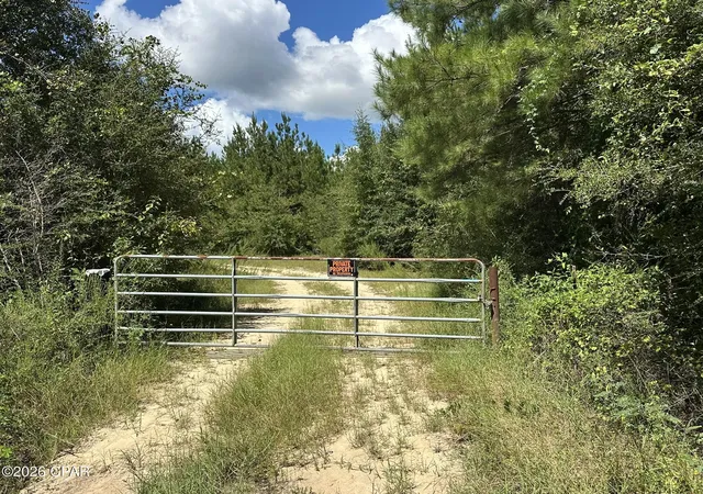 Photo 2 of Land for sale at Tract#6418 N Mattox Springs Rd, Caryville, FL 32427 | MLS# 795200 | Listing updated on 2026-09-10
