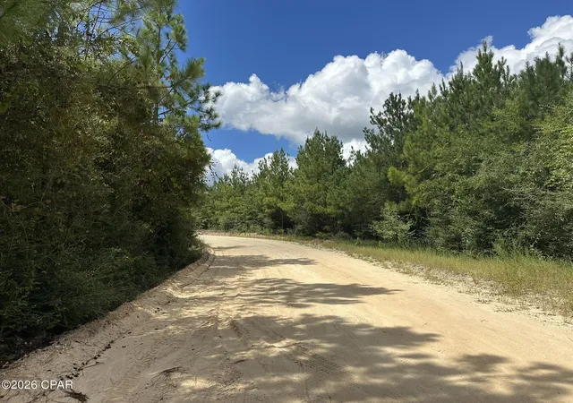Photo 3 of Land for sale at Tract#6418 N Mattox Springs Rd, Caryville, FL 32427 | MLS# 795200 | Listing updated on 2026-09-10