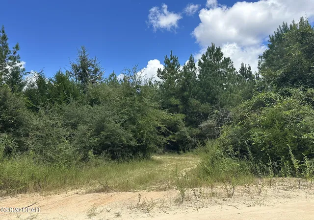 Photo 3 of Land for sale at Tract#6418 N Mattox Springs Rd, Caryville, FL 32427 | MLS# 795200 | Listing updated on 2026-09-10