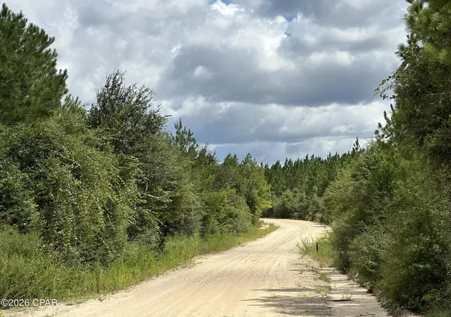 Photo 4 of Land for sale at Tract#6418 N Mattox Springs Rd, Caryville, FL 32427 | MLS# 795200 | Listing updated on 2026-09-10