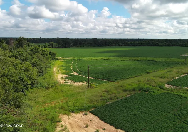 Photo 3 of Land for sale at 0 Pittman Hl Rd, Marianna, FL 32448 | MLS# 795247 | Listing updated on 2026-09-10
