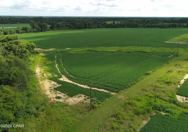 Photo 3 of Land for sale at 0 Pittman Hl Rd, Marianna, FL 32448 | MLS# 795247 | Listing updated on 2026-09-10