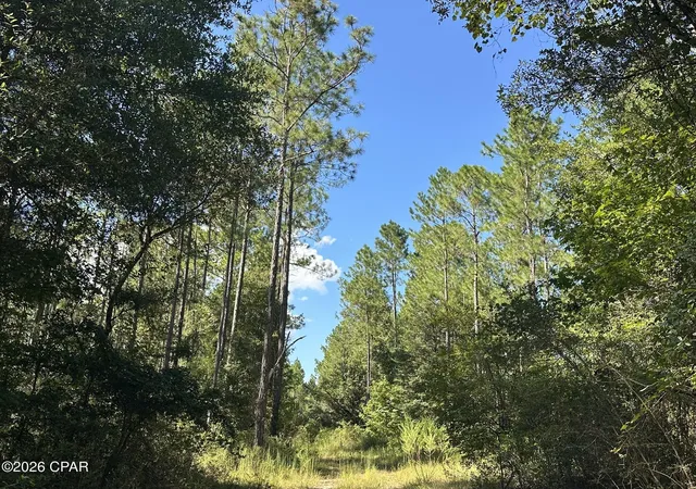 Photo 1 of Land for sale at Tract#6421 Clayton Rd, Bonifay, FL 32425 | MLS# 795315 | Listing updated on 2026-10-06