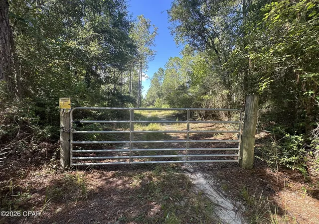 Photo 3 of Land for sale at Tract#6421 Clayton Rd, Bonifay, FL 32425 | MLS# 795315 | Listing updated on 2026-10-06