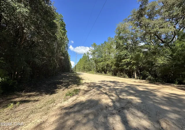 Photo 3 of Land for sale at Tract#6421 Clayton Rd, Bonifay, FL 32425 | MLS# 795315 | Listing updated on 2026-10-06