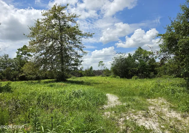 Photo 3 of Sale Pending at 000 Alex Dr, Fountain, FL 32438 | MLS# 795322 | Listing updated on 2026-09-16