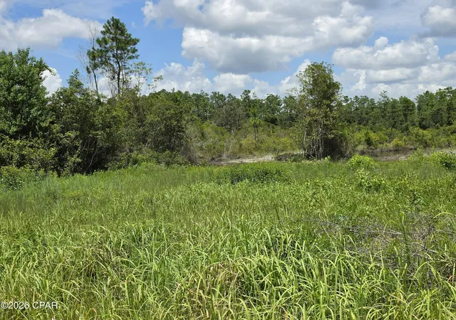 Photo 3 of Sale Pending at 000 Alex Dr, Fountain, FL 32438 | MLS# 795322 | Listing updated on 2026-09-16