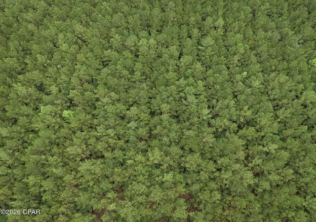 Photo 3 of Land for sale at Xxx Lakeview Rd, Caryville, FL 32427 | MLS# 795325 | Listing updated on 2026-09-12