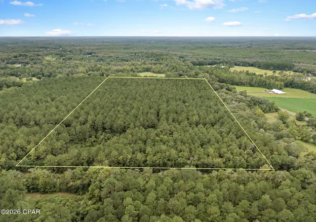 Photo 4 of Land for sale at Xxx Lakeview Rd, Caryville, FL 32427 | MLS# 795325 | Listing updated on 2026-09-12