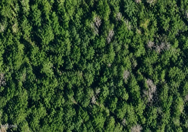 Photo 1 of Land for sale at 0 Kingway Ct, Chipley, FL 32428 | MLS# 795326 | Listing updated on 2026-09-14