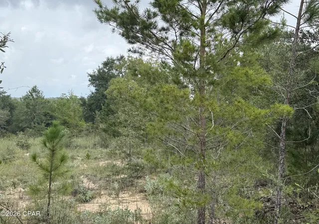 Photo 3 of Land for sale at 2504 Radcliff Cir, Chipley, FL 32428 | MLS# 795329 | Listing updated on 2026-09-12