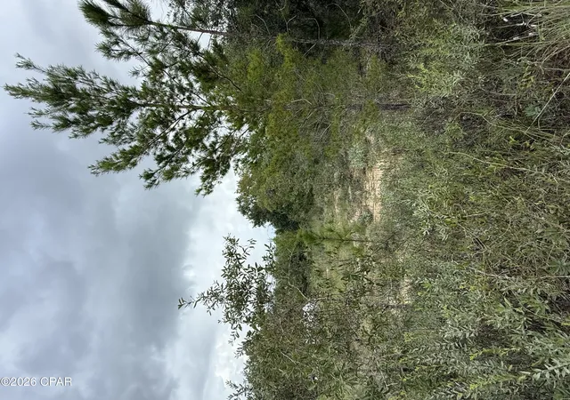Photo 3 of Land for sale at 2504 Radcliff Cir, Chipley, FL 32428 | MLS# 795329 | Listing updated on 2026-09-12