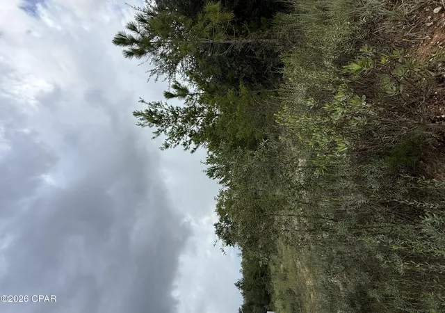 Photo 4 of Land for sale at 2504 Radcliff Cir, Chipley, FL 32428 | MLS# 795329 | Listing updated on 2026-09-12