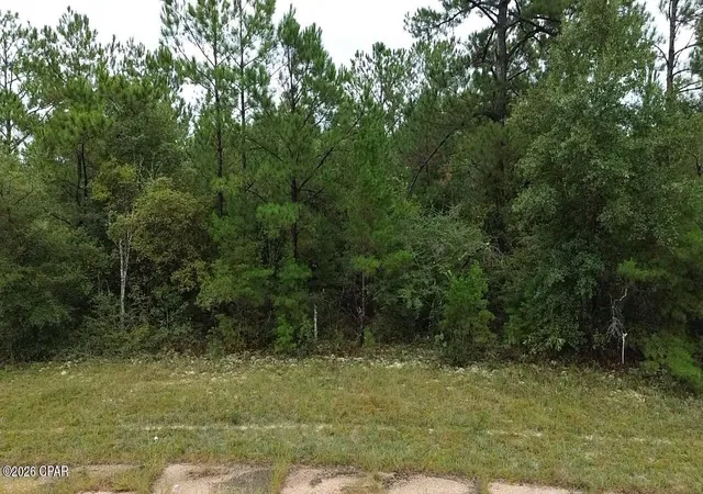 Photo 4 of Land for sale at Lot 5 Gambit Pl #11, Chipley, FL 32428 | MLS# 795334 | Listing updated on 2026-09-12