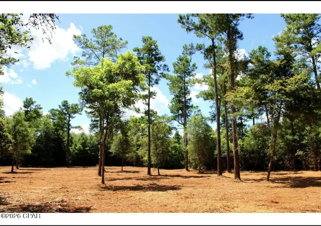 Photo 3 of Land for sale at 00 Reserve Dr, Marianna, FL 32446 | MLS# 795394 | Listing updated on 2026-09-15