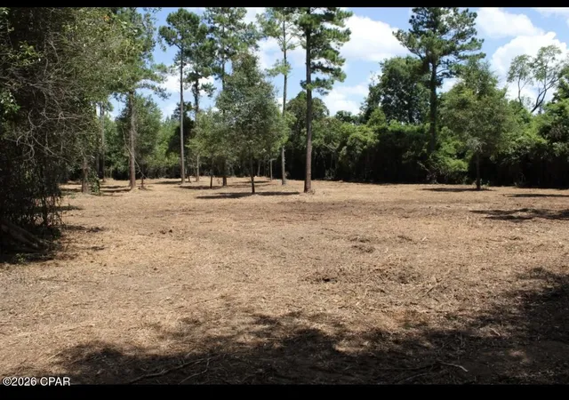 Photo 3 of Land for sale at 00 Reserve Dr, Marianna, FL 32446 | MLS# 795394 | Listing updated on 2026-09-15