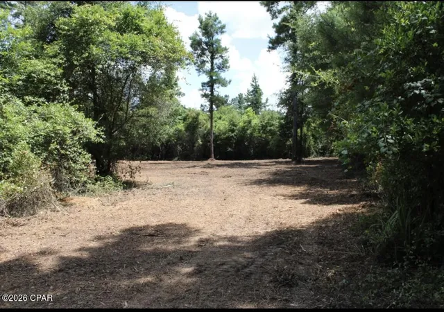 Photo 4 of Land for sale at 00 Reserve Dr, Marianna, FL 32446 | MLS# 795394 | Listing updated on 2026-09-15