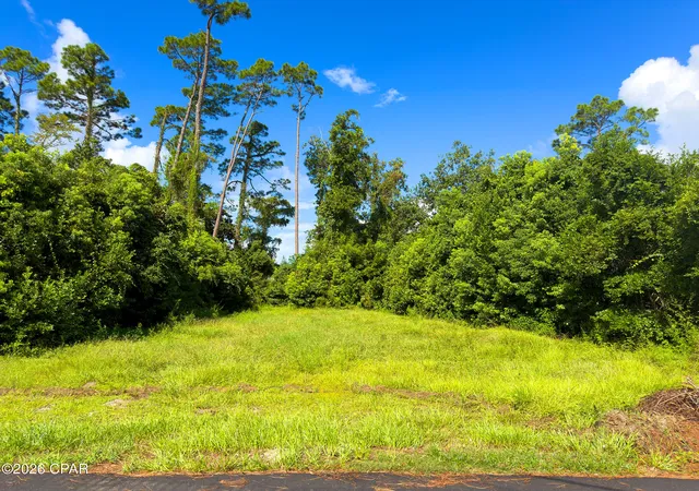 Photo 2 of Land for sale at 117 Monica Dr, Port Saint Joe, FL 32456 | MLS# 795402 | Listing updated on 2026-09-15
