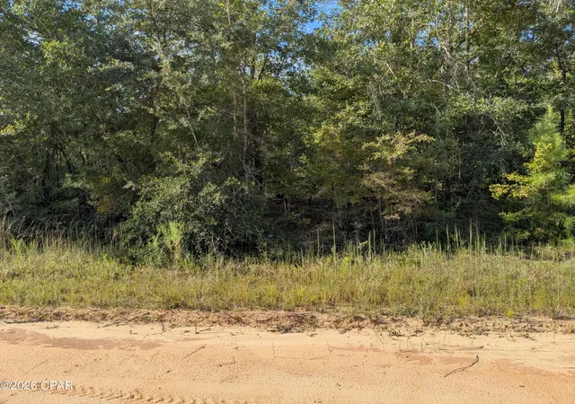 Land for sale at 0 Hillside Dr, Marianna, FL 32448 | MLS# 795423