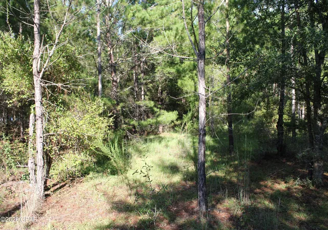 Photo 4 of Land for sale at Tbd Kuwait Ln, Alford, FL 32420 | MLS# 795443 | Listing updated on 2026-09-16