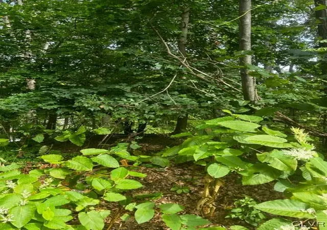 Photo 3 of Land for sale at 0 N Highland, Pottsville, PA 17901 | MLS# 746115 | Listing updated on 2026-09-23