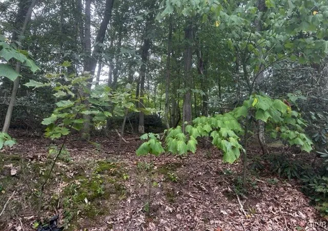 Photo 4 of Land for sale at 0 N Highland, Pottsville, PA 17901 | MLS# 746115 | Listing updated on 2026-09-23