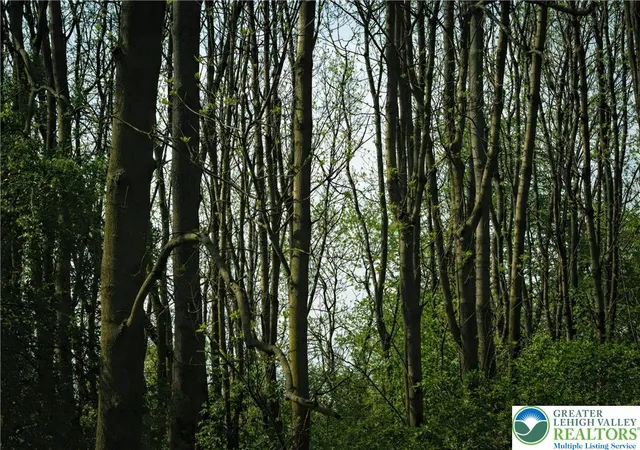 Photo 2 of Land for sale at 0 Main St, Washington Twp, PA 18080 | MLS# 769797 | Listing updated on 2026-09-19