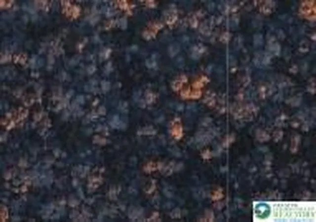 Land for sale at Point Phillips Rd, Kunkletown, PA 18058 | MLS# 775909