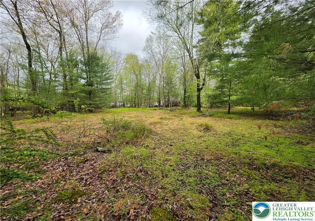 Photo 1 of Land for sale at 475 Craigs Meadow Rd And Spruce Ln, East Stroudsburg, PA 18301 | MLS# 775977 | Listing updated on 2026-08-31