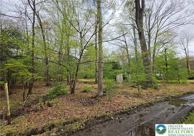 Photo 3 of Land for sale at 475 Craigs Meadow Rd And Spruce Ln, East Stroudsburg, PA 18301 | MLS# 775977 | Listing updated on 2026-08-31