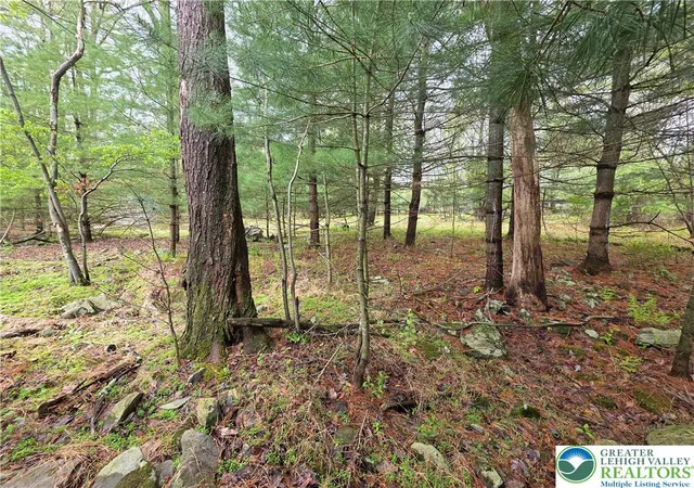 Photo 4 of Land for sale at 475 Craigs Meadow Rd And Spruce Ln, East Stroudsburg, PA 18301 | MLS# 775977 | Listing updated on 2026-08-31
