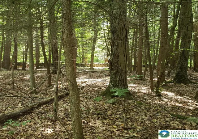 Photo 3 of Land for sale at Forks Brg Rd, Newfoundland, PA 18445 | MLS# 776326 | Listing updated on 2026-09-09