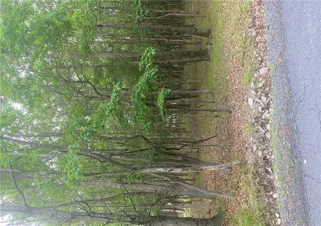 Photo 5 of Sale Pending at 0 Stony Holw Cir, Lehman Twp, PA 18324 | MLS# 777723 | Listing updated on 2026-08-31